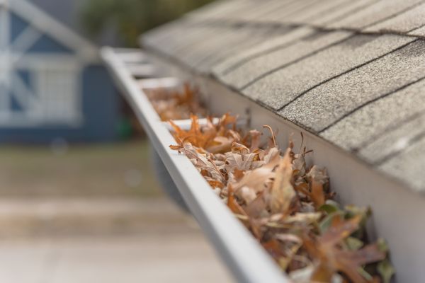 Leaf Barrier Installation in Lexington